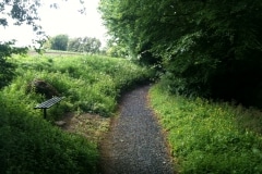 THE KENNOWAY DEN--Strolling along the footpaths.
